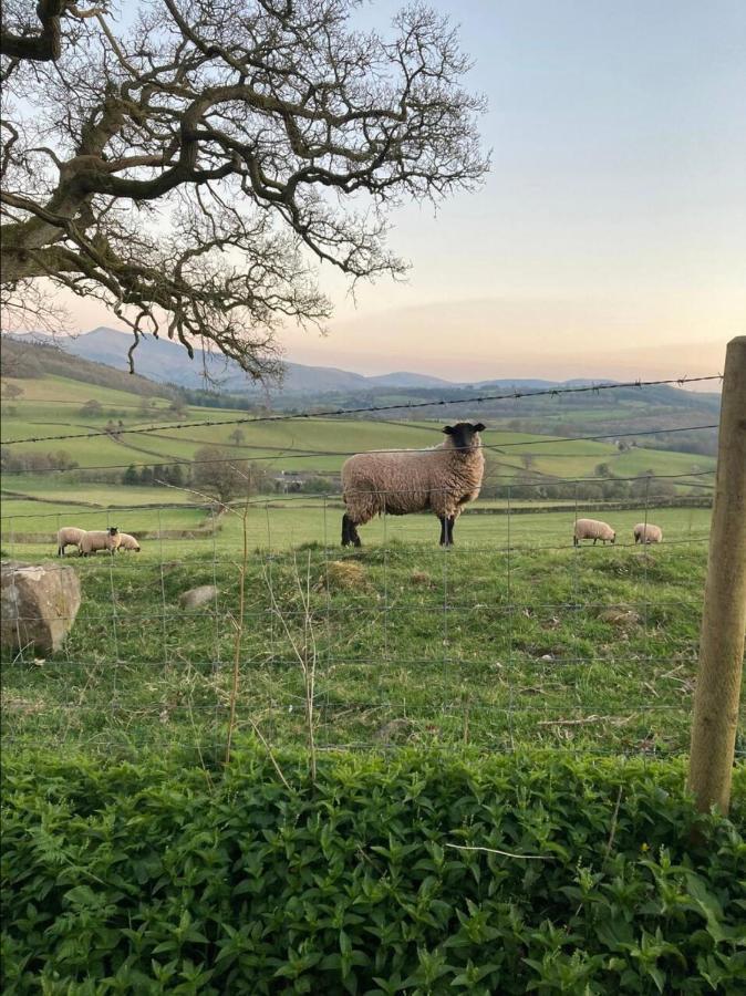 Cosy Arts & Crafts Cottage With Stunning Views Brecon Esterno foto